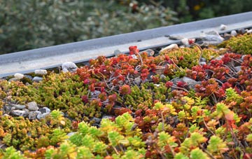 the cost of Cremyll green roof installation